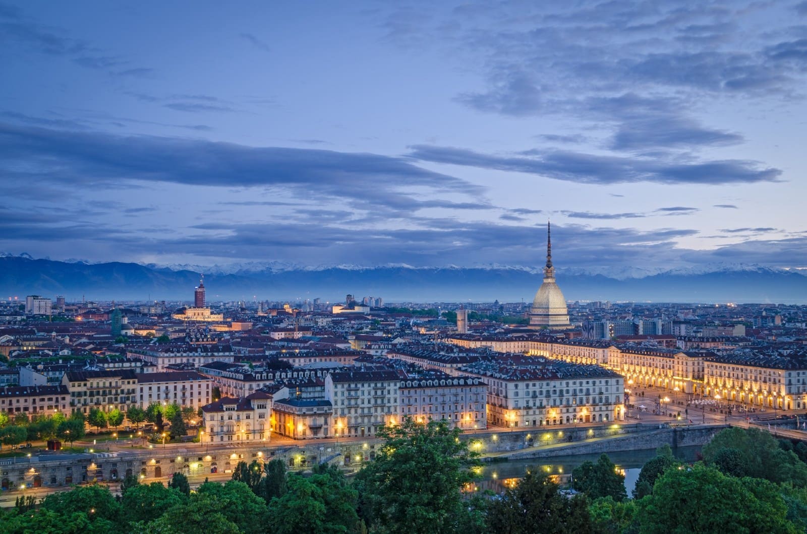 agenzia seo torino